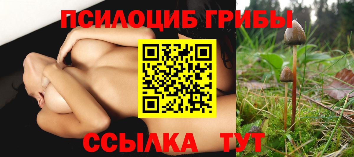 Галлюциногенные грибы Psilocybe  Вход с VPN  Соликамск 