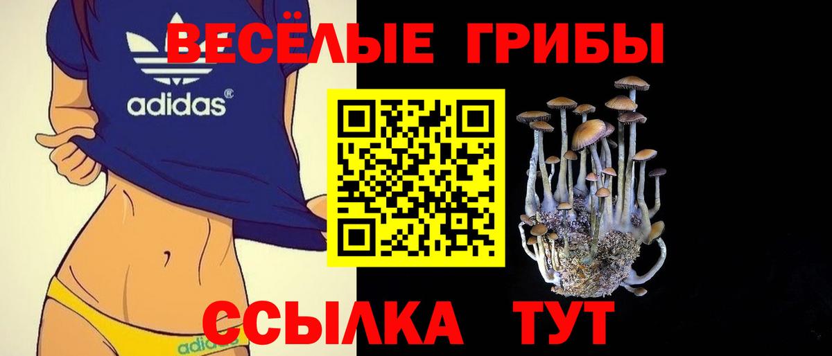 Псилоцибиновые грибы мицелий Соликамск
